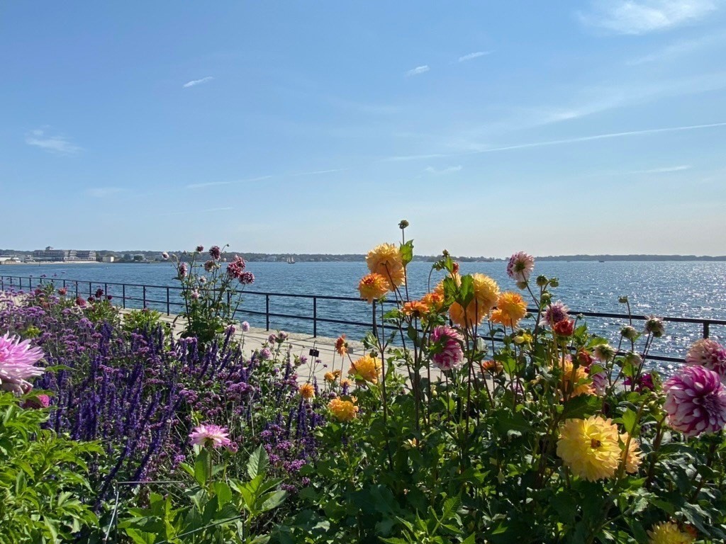 33 Maplewood Avenue 310