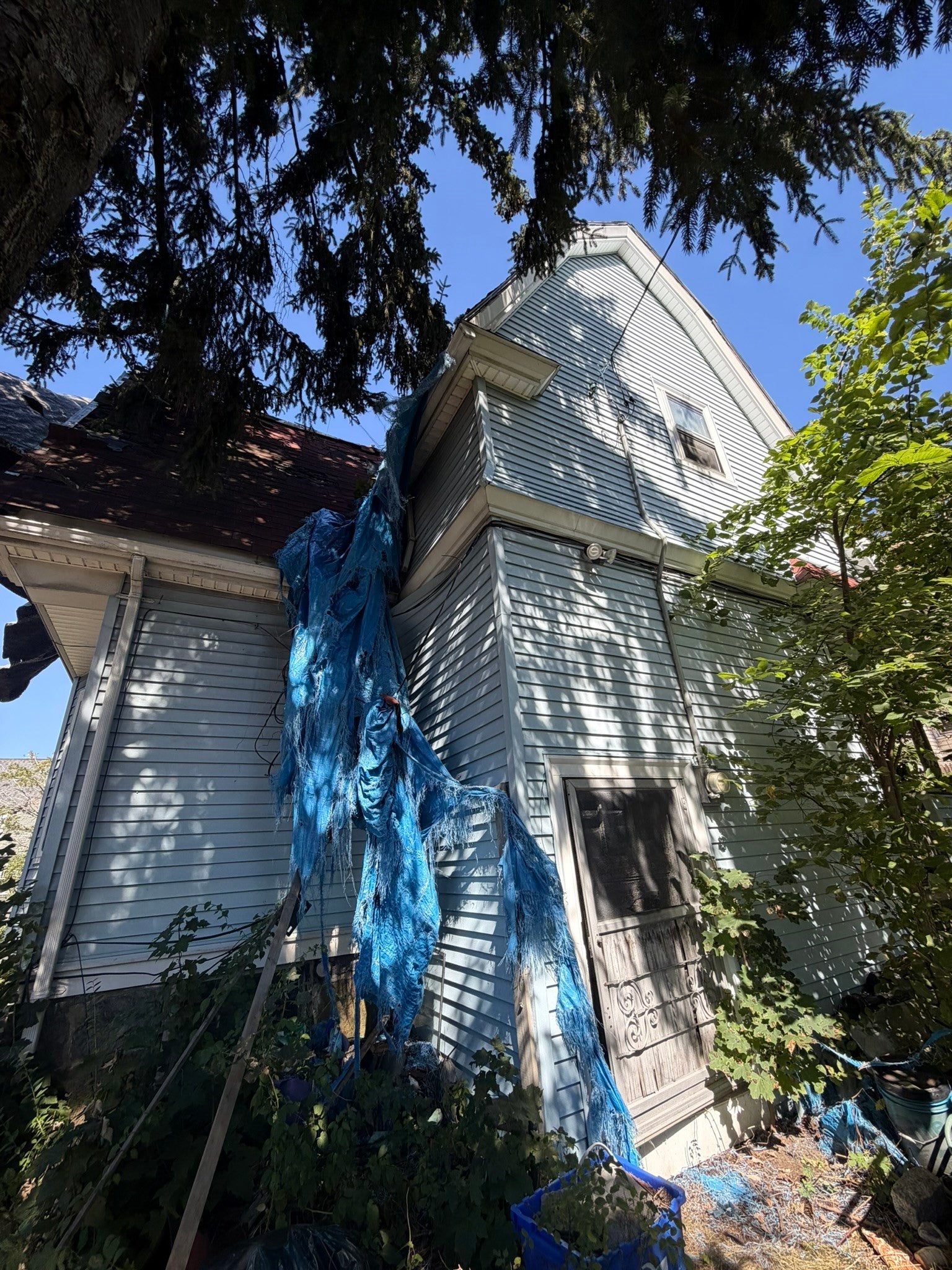 34 Rosedale St, Boston, MA Photo #13
