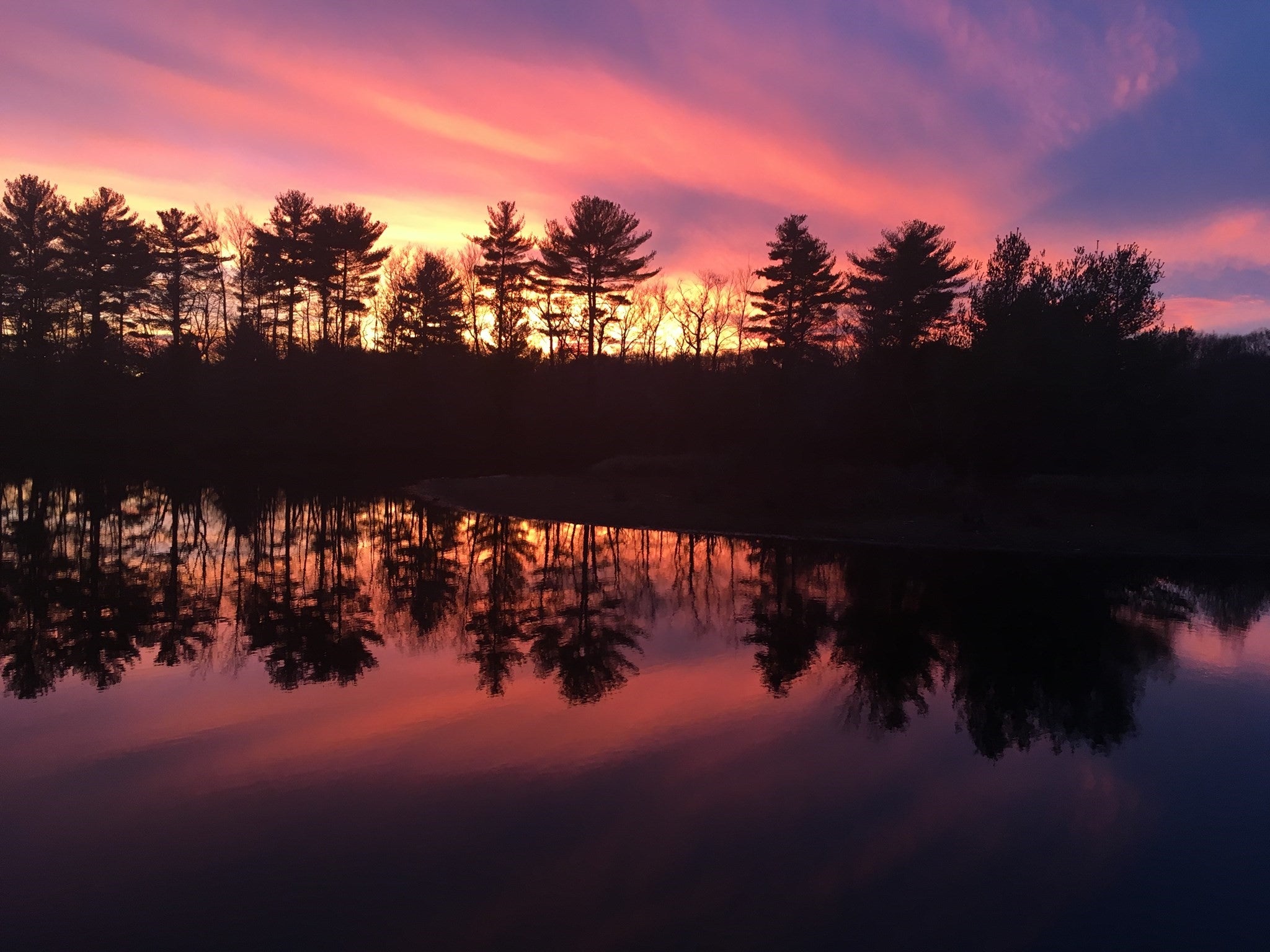 2415 Bay Rd, Sharon, MA, 2415 Bay Rd, Sharon, MA Photo #34