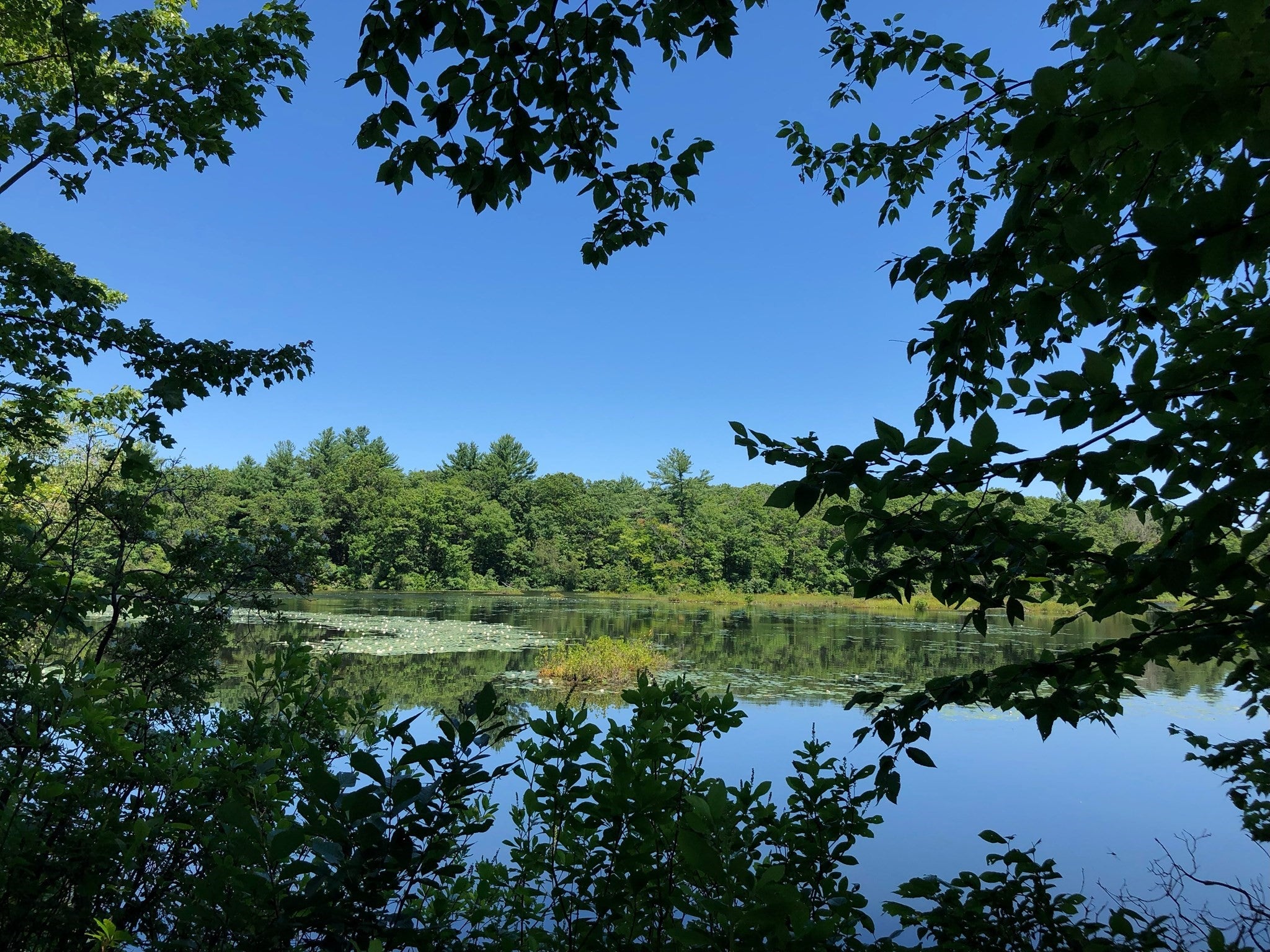 2415 Bay Rd, Sharon, MA, 2415 Bay Rd, Sharon, MA Photo #36