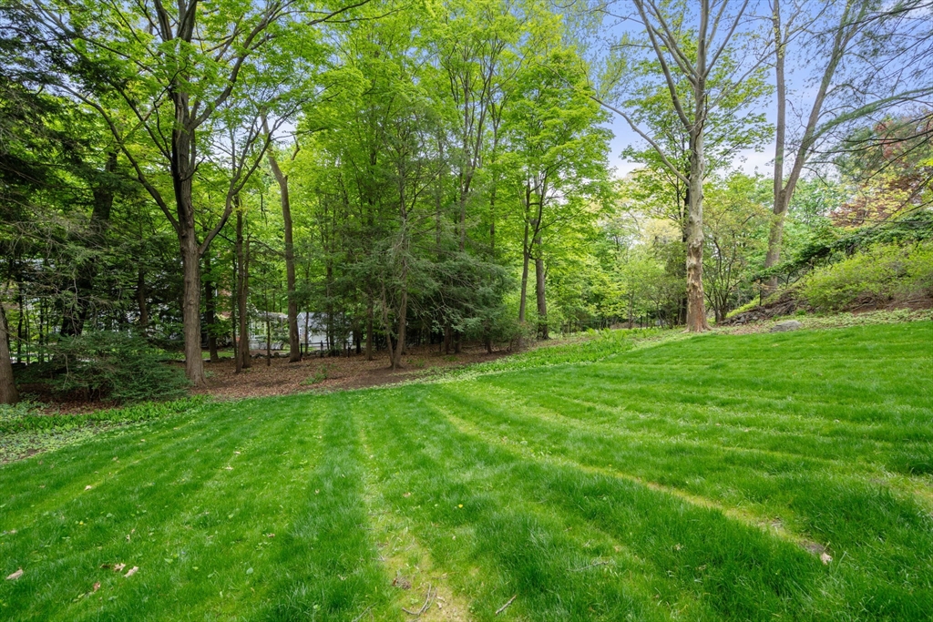 150 Prospect Street, Belmont, MA Photo #33