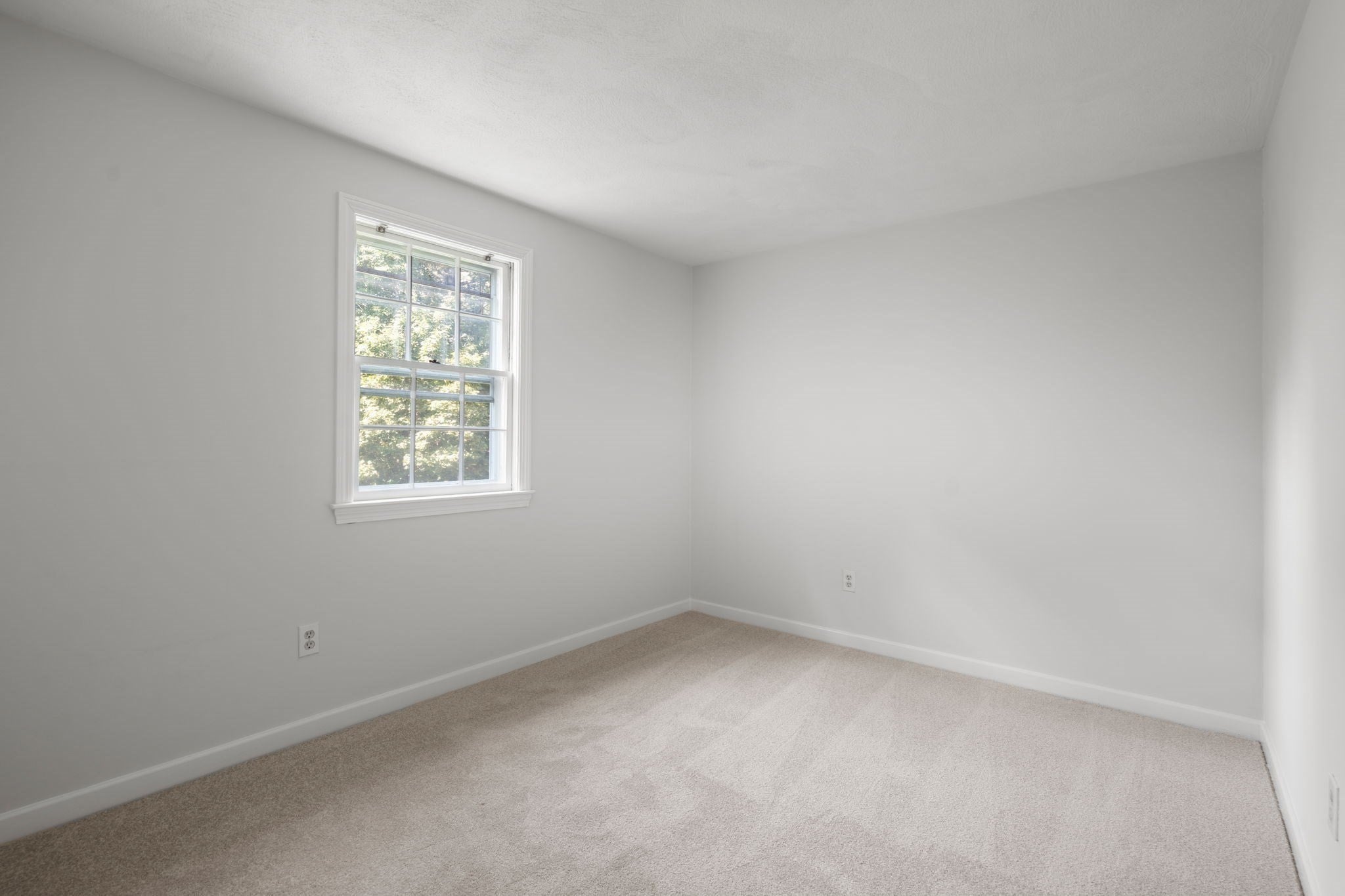 201 Ames Street, Sharon, MA Photo #12