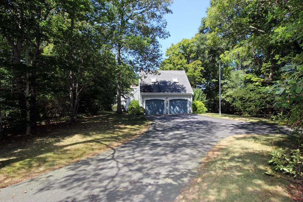 81 Red Maple Road