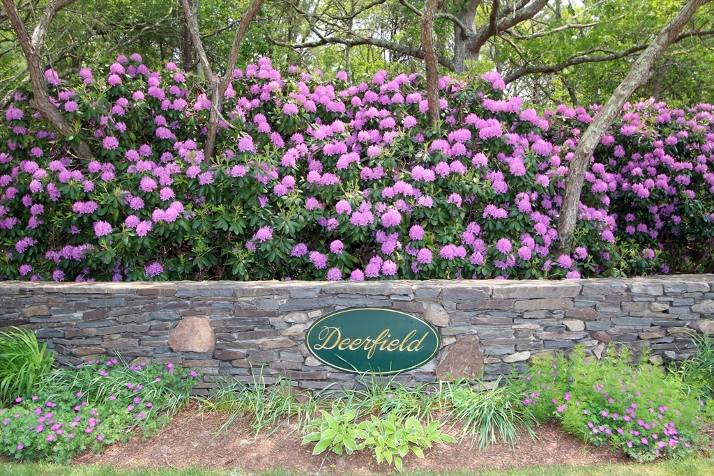 81 Red Maple Road