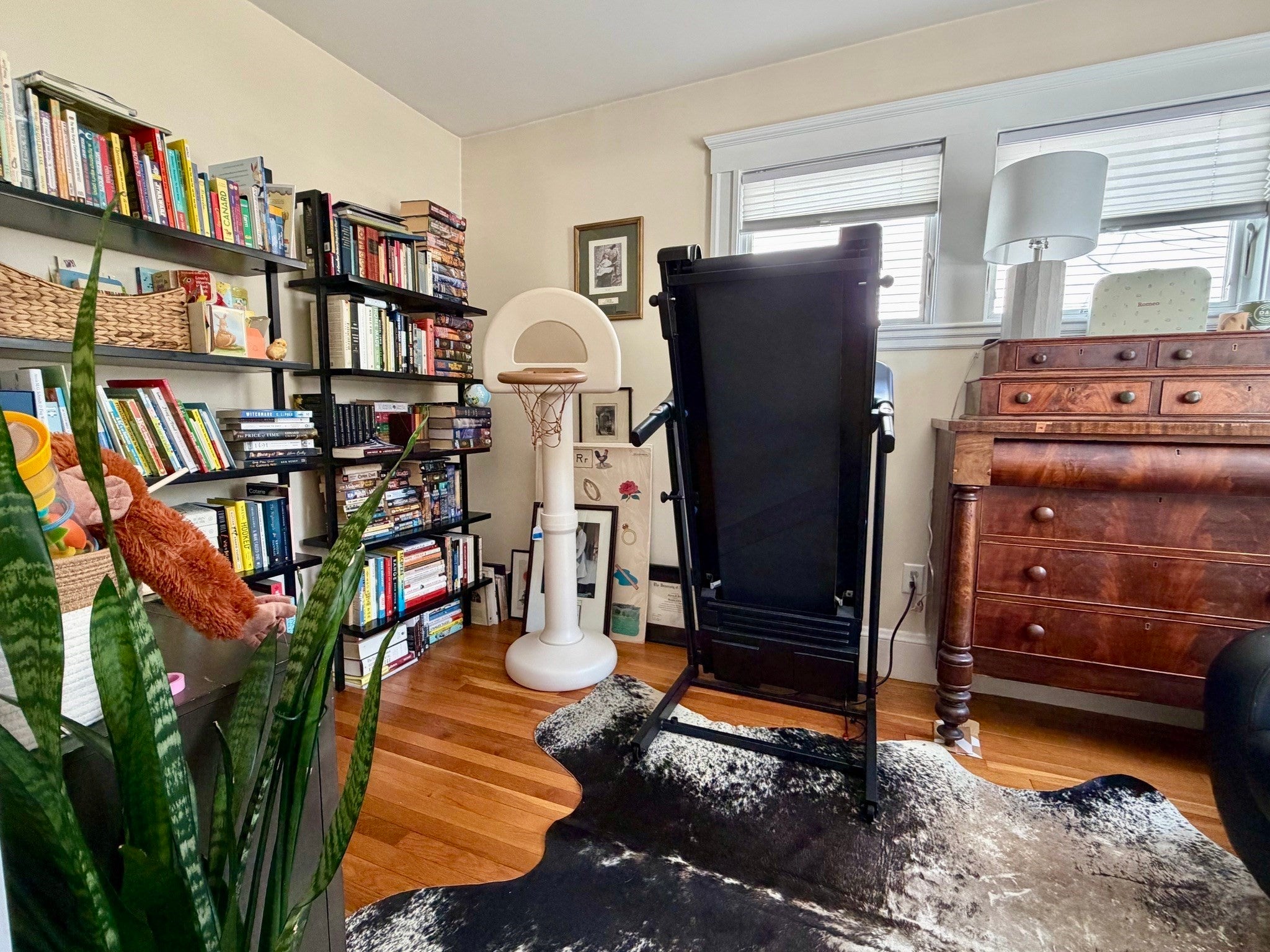 33 Harriet ST #1, Boston, MA, 33 Harriet ST #1, Boston, MA Photo #15