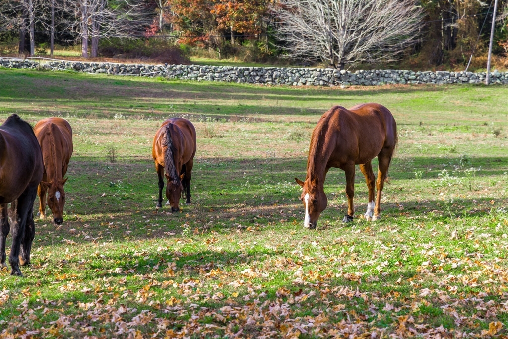 Rochester, Massachusetts 02770, United States, ,Land,Active,159536