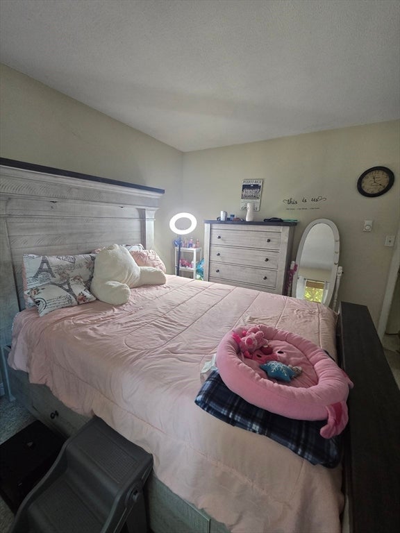 40 Saint Kolbe Dr #C, Holyoke, MA Photo #19