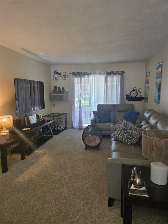 40 Saint Kolbe Dr #C, Holyoke, MA Photo #10