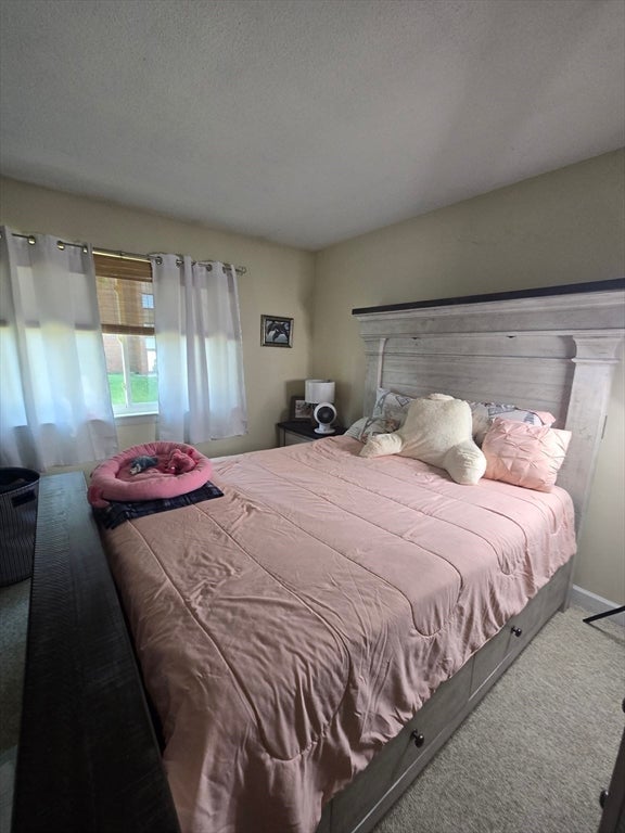 40 Saint Kolbe Dr #C, Holyoke, MA Photo #16