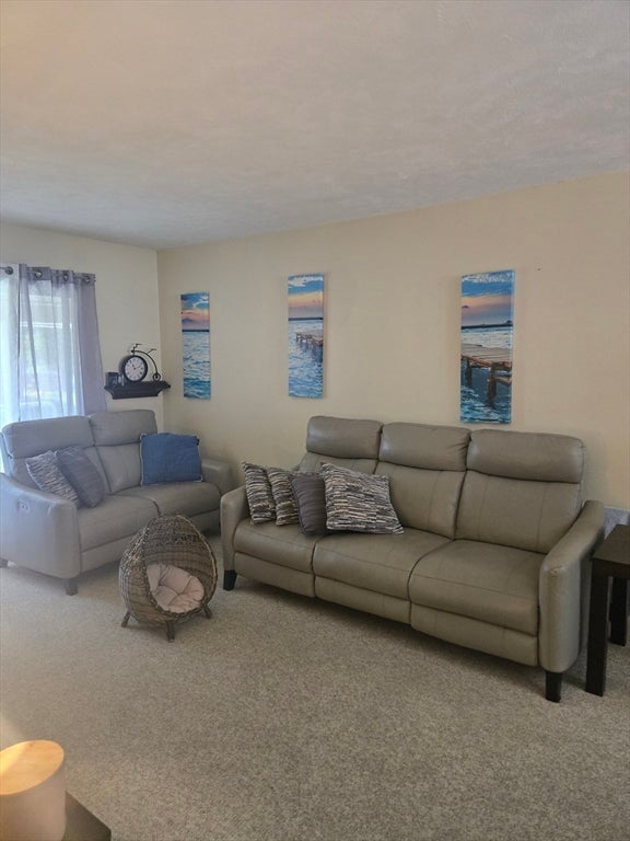 40 Saint Kolbe Dr #C, Holyoke, MA Photo #11