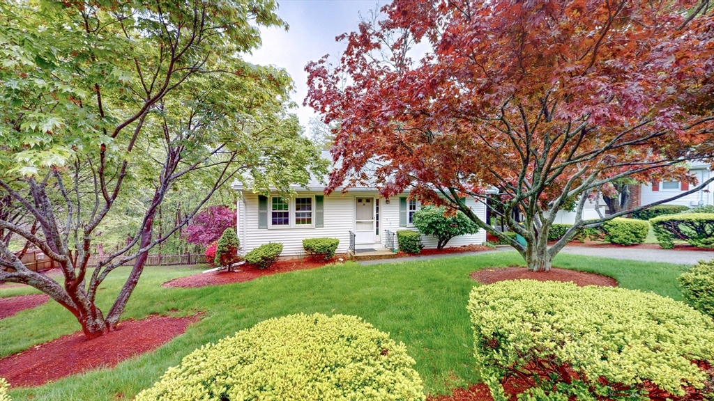 Listing image 1