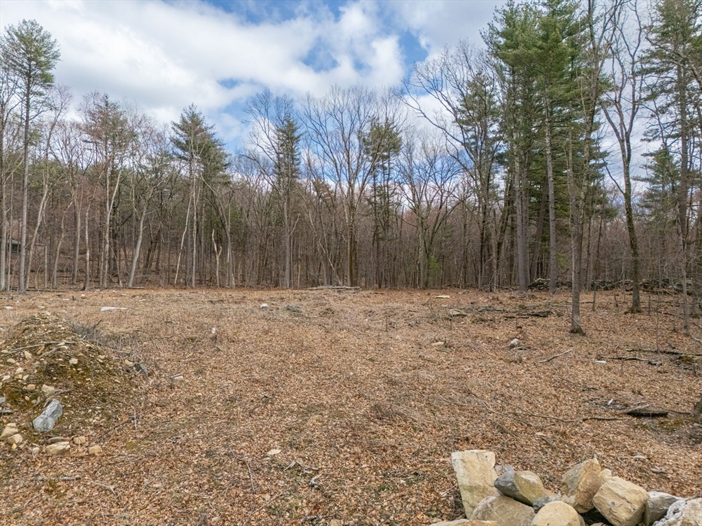 98 Meadow Rd
