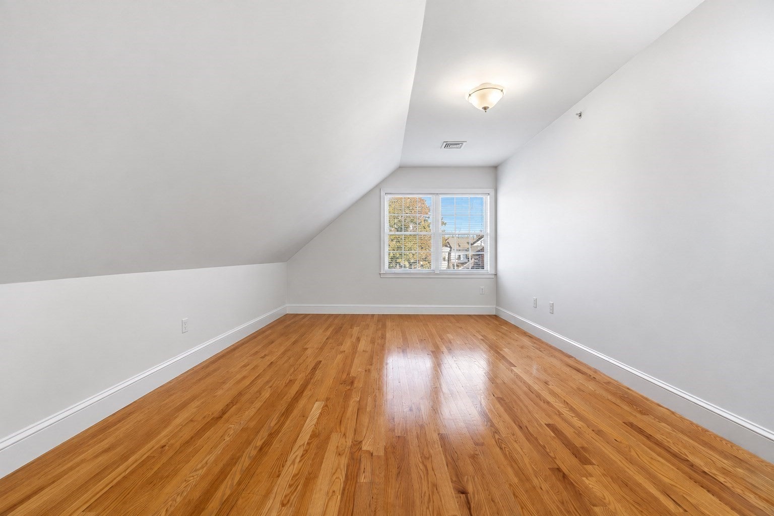 146 Adams Street #2, Waltham, MA, 146 Adams Street #2, Waltham, MA Photo #16