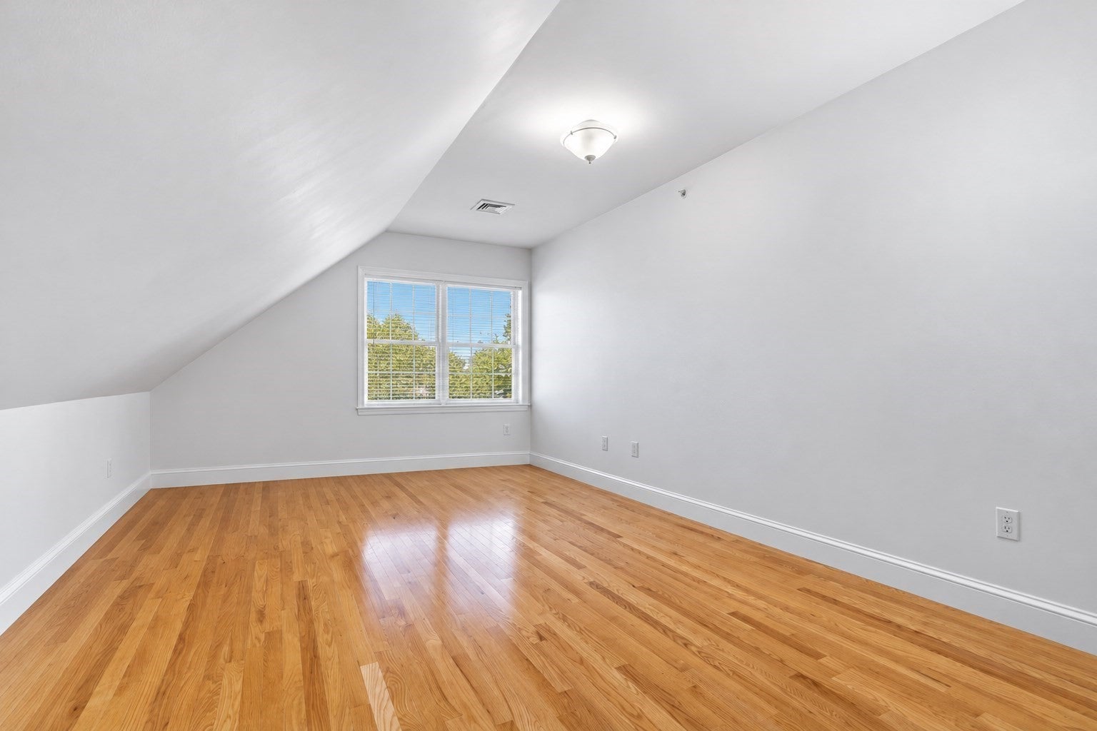 146 Adams Street #2, Waltham, MA, 146 Adams Street #2, Waltham, MA Photo #17