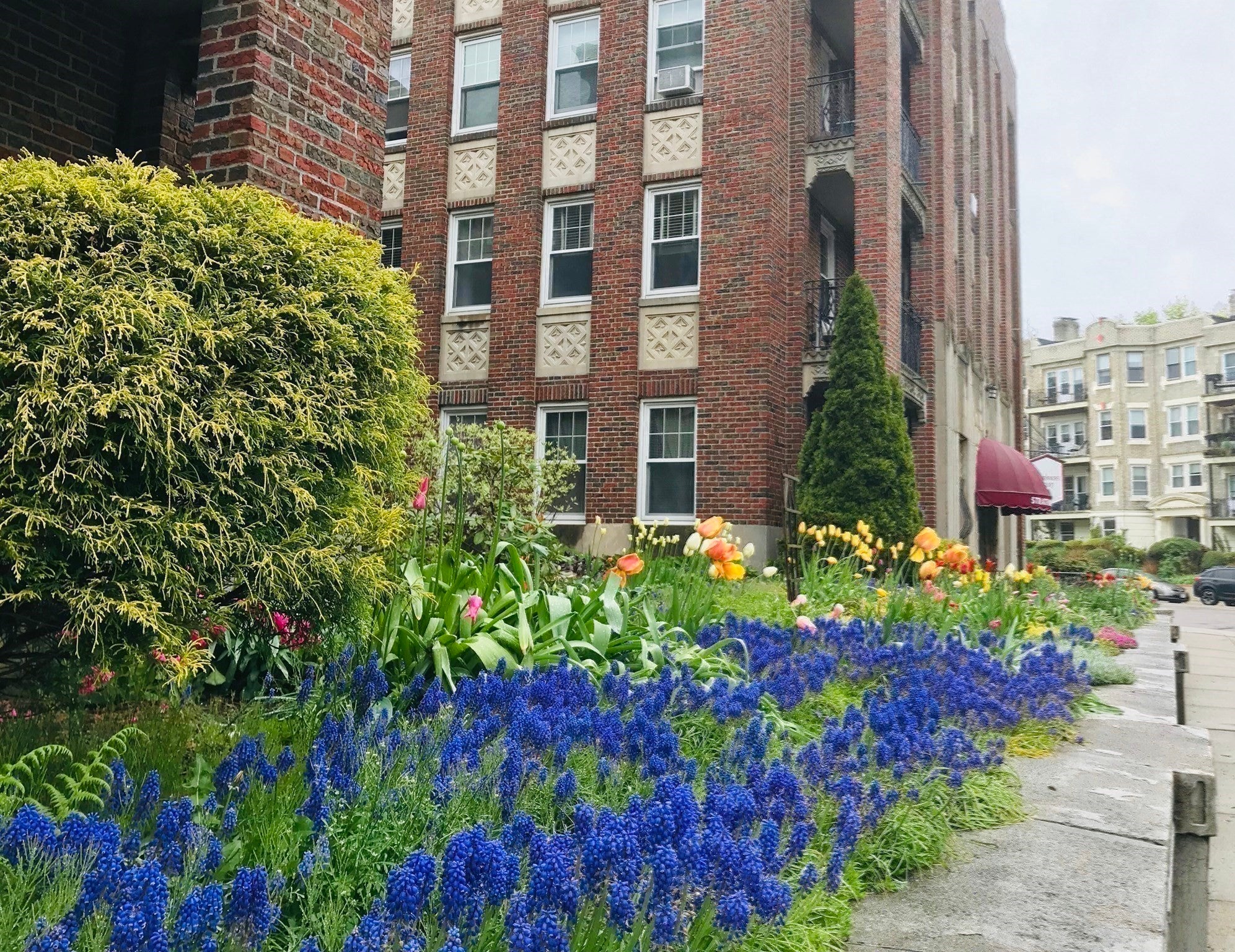 52 Strathmore Rd #46, Boston, MA, 52 Strathmore Rd #46, Boston, MA Photo #22