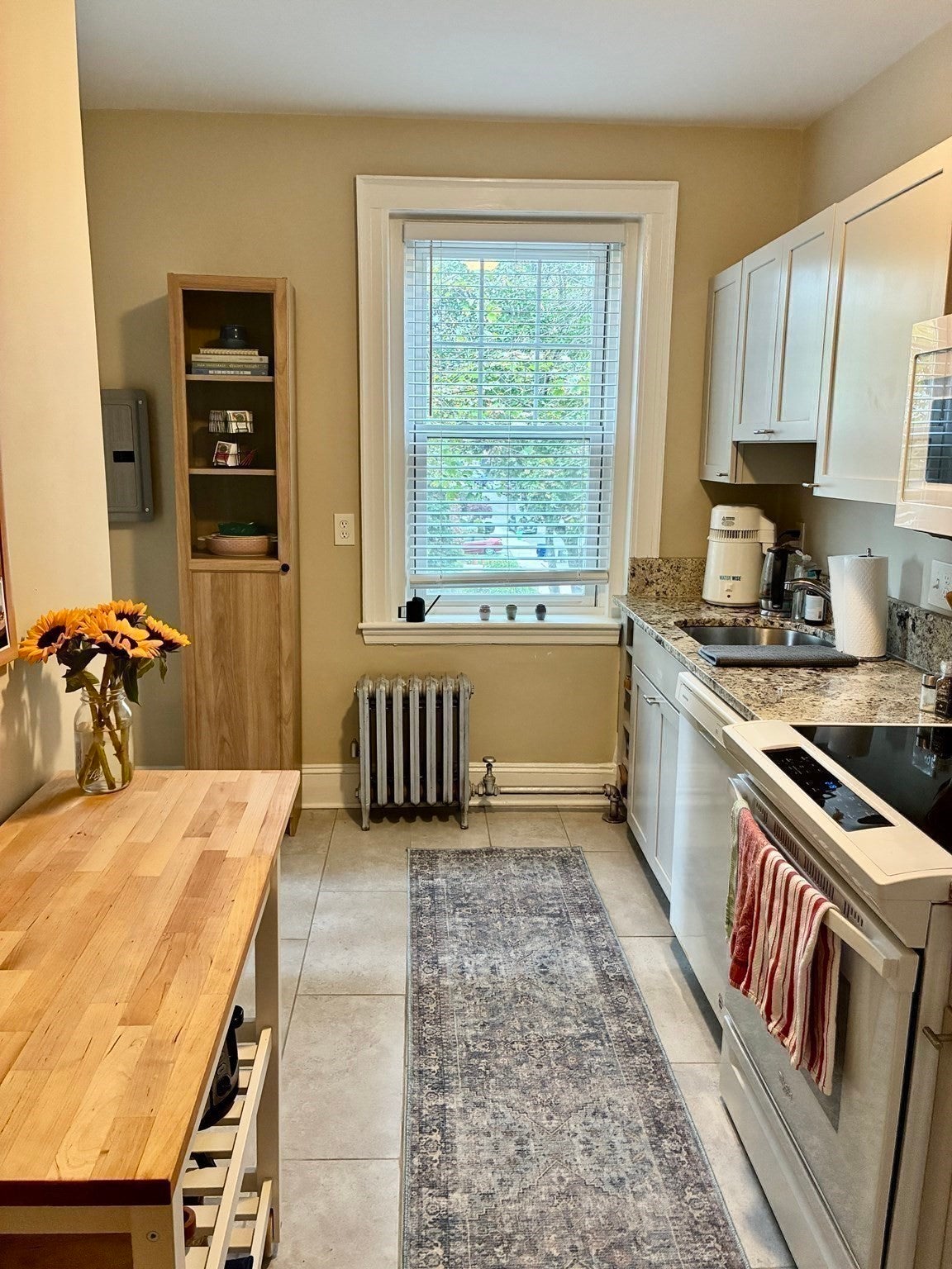 52 Strathmore Rd 46