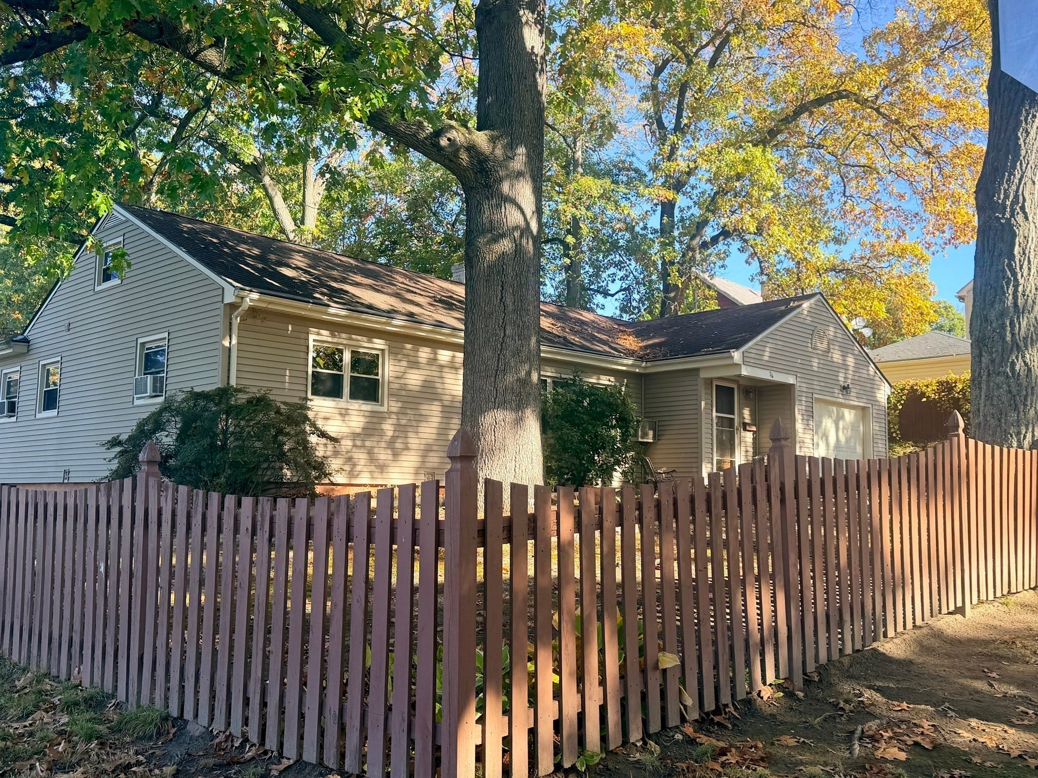 26 Fern St.