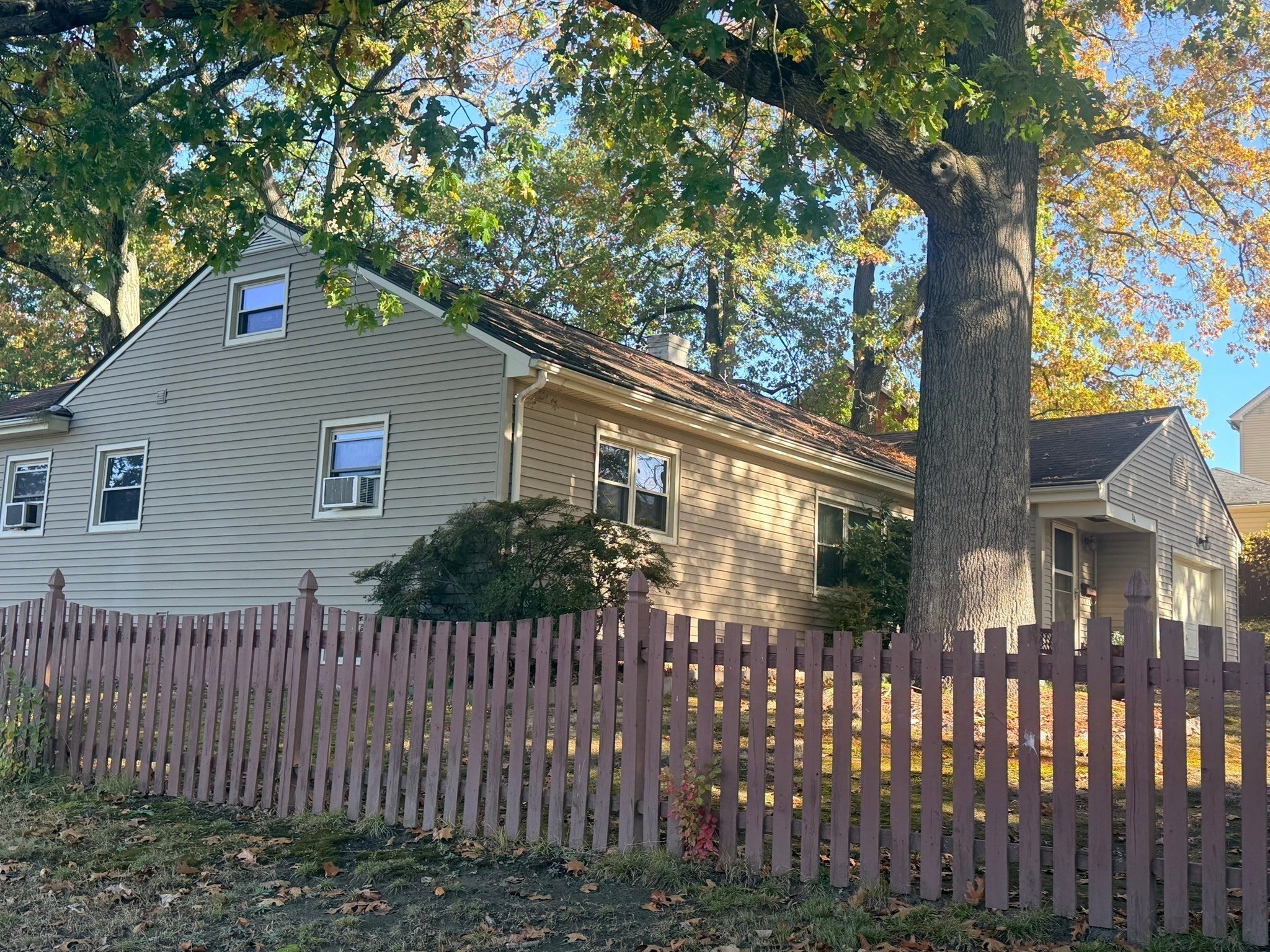 26 Fern St.