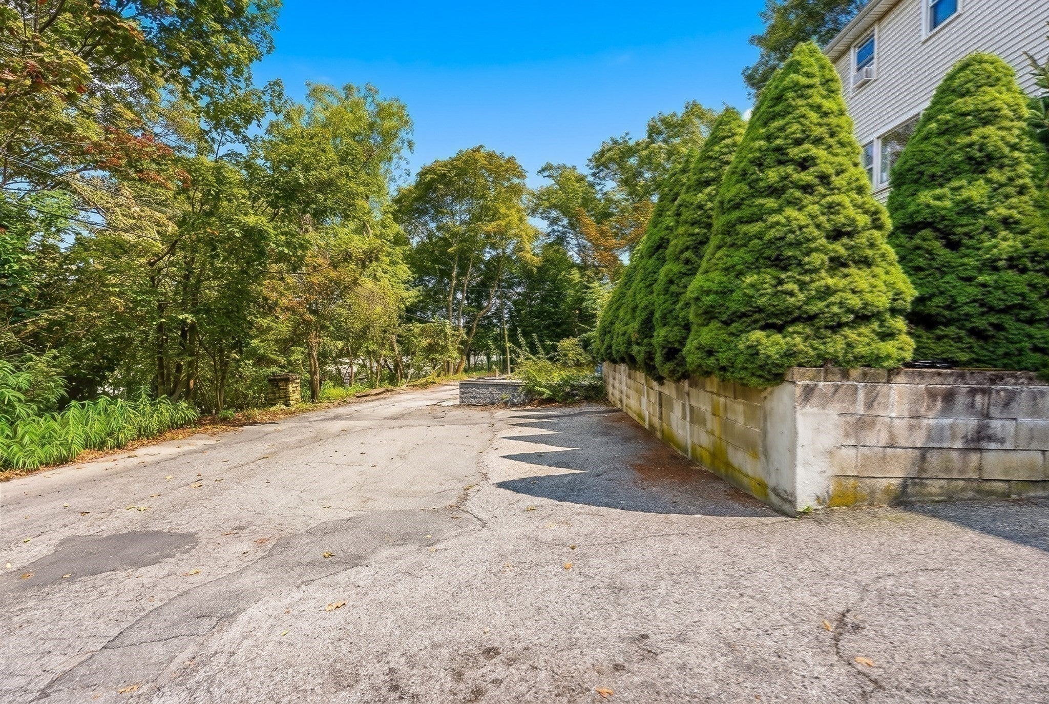 24 College Farm Rd, Waltham, MA, 24 College Farm Rd, Waltham, MA Photo #25