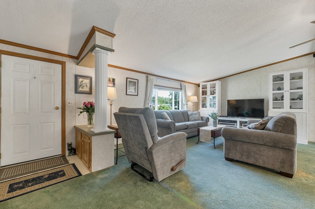 7 Cammett Drive