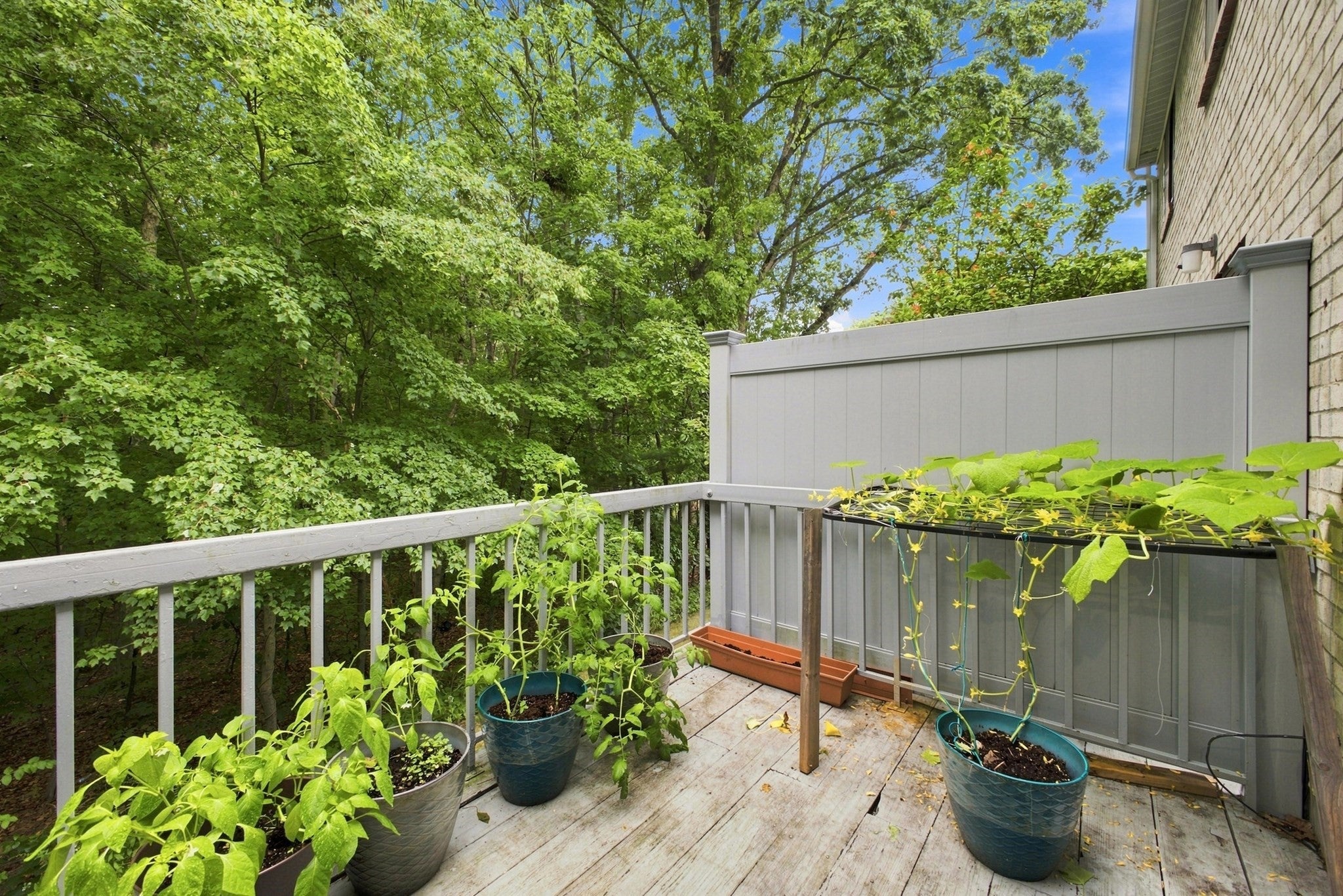 95 Commons Dr #107, Shrewsbury, MA, 95 Commons Dr #107, Shrewsbury, MA Photo #27