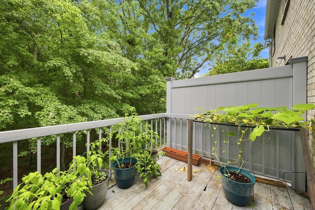 95 Commons Dr #107, Shrewsbury, MA, 95 Commons Dr #107, Shrewsbury, MA Photo #27