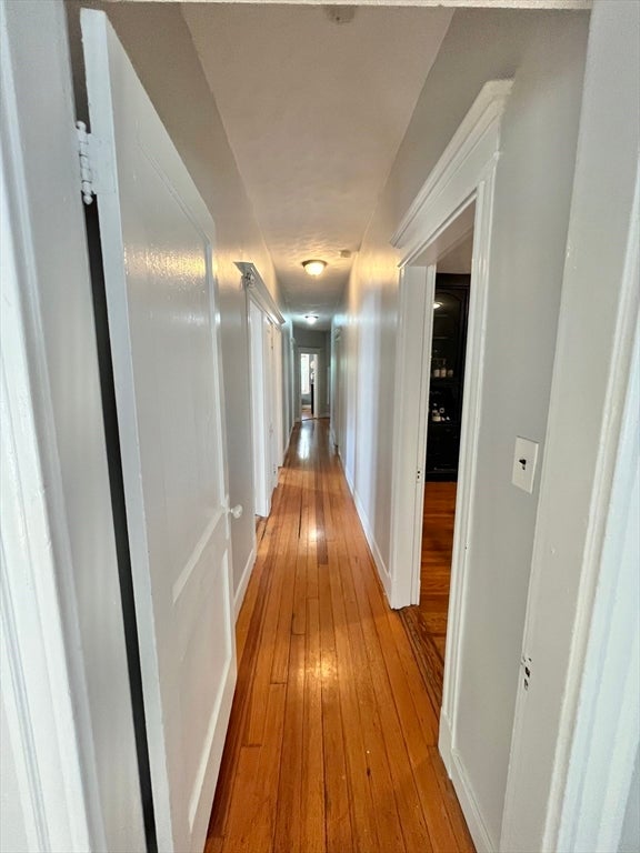 227 Winchester Street #2, Brookline, MA Photo #9