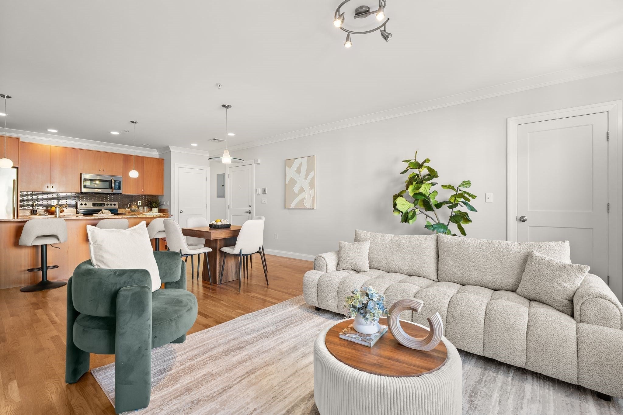 156 Green St #205, Boston, MA, 156 Green St #205, Boston, MA Photo #8