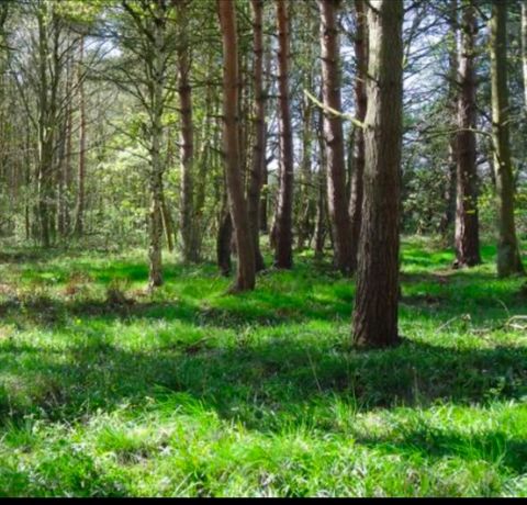 Photo of LOT 2 Winterberry Ln, Easton, MA 02256 (MLS # 73486085)