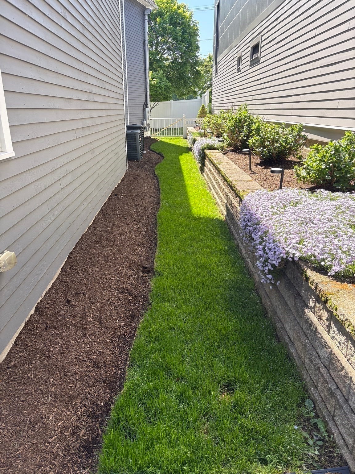 113 Watertown St #113, Watertown, MA, 113 Watertown St #113, Watertown, MA Photo #28