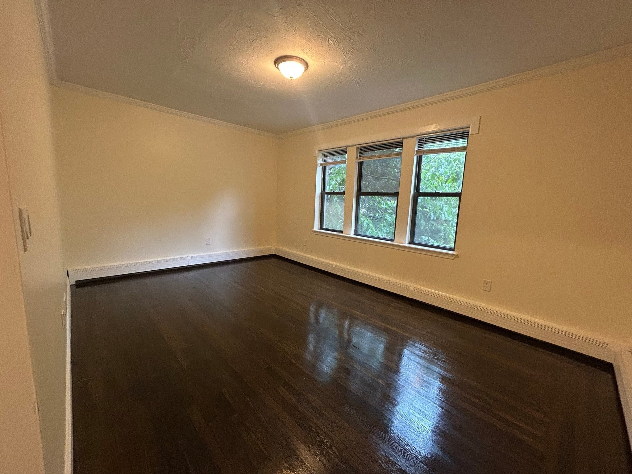 435 Walnut Ave #6, Boston, MA, 435 Walnut Ave #6, Boston, MA Photo #4