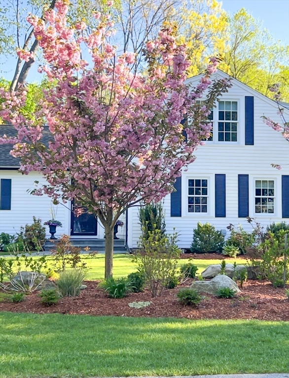 244 Powder Mill Rd, Concord, MA Photo #8