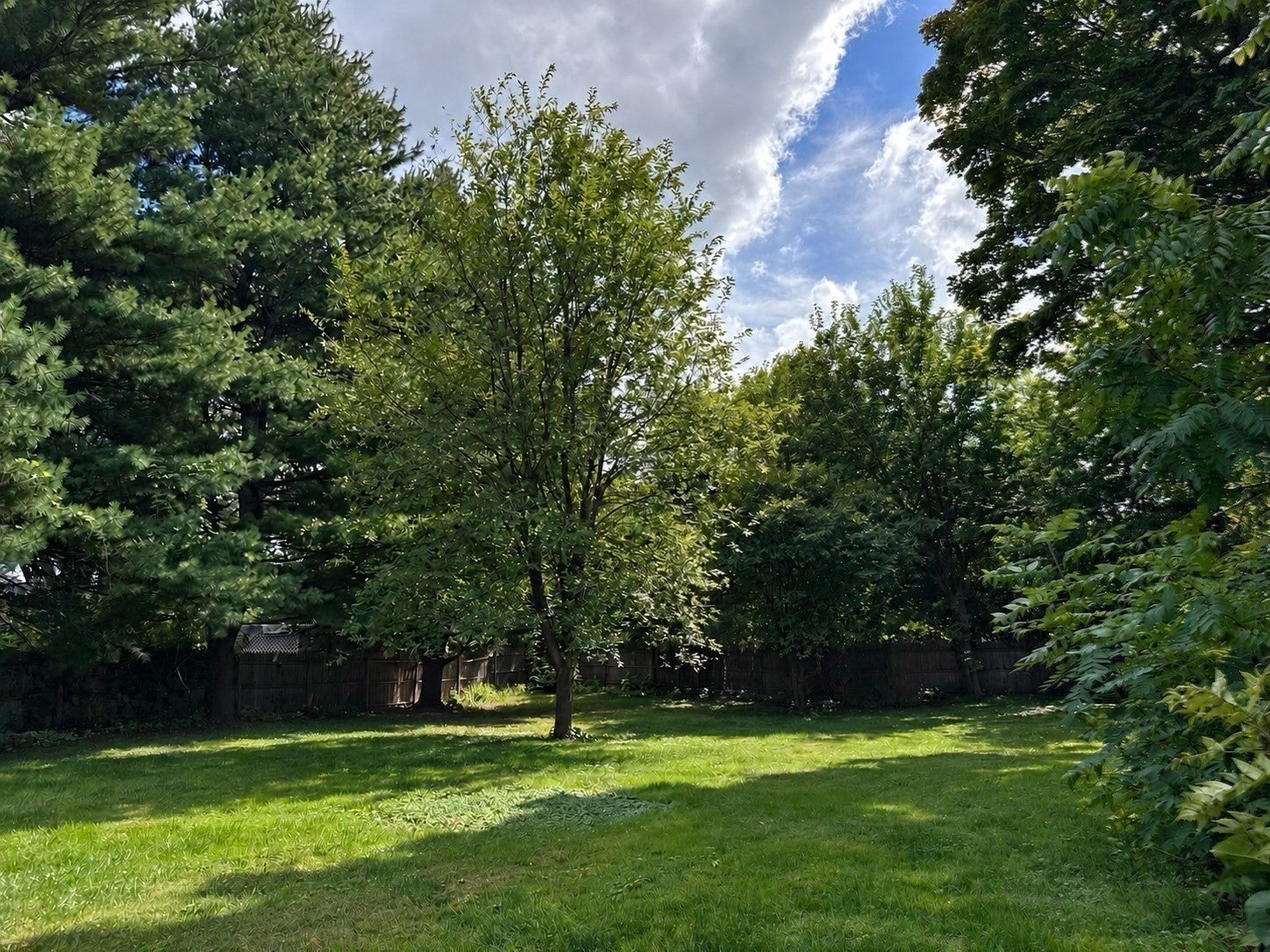 145 Mckinstry Ave, Chicopee, MA Photo #37