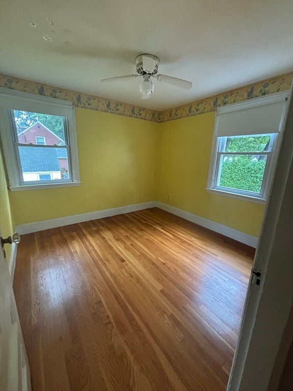 137 Appleton St, Springfield, MA, 137 Appleton St, Springfield, MA Photo #19