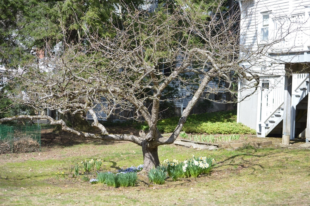 321 Middle Street