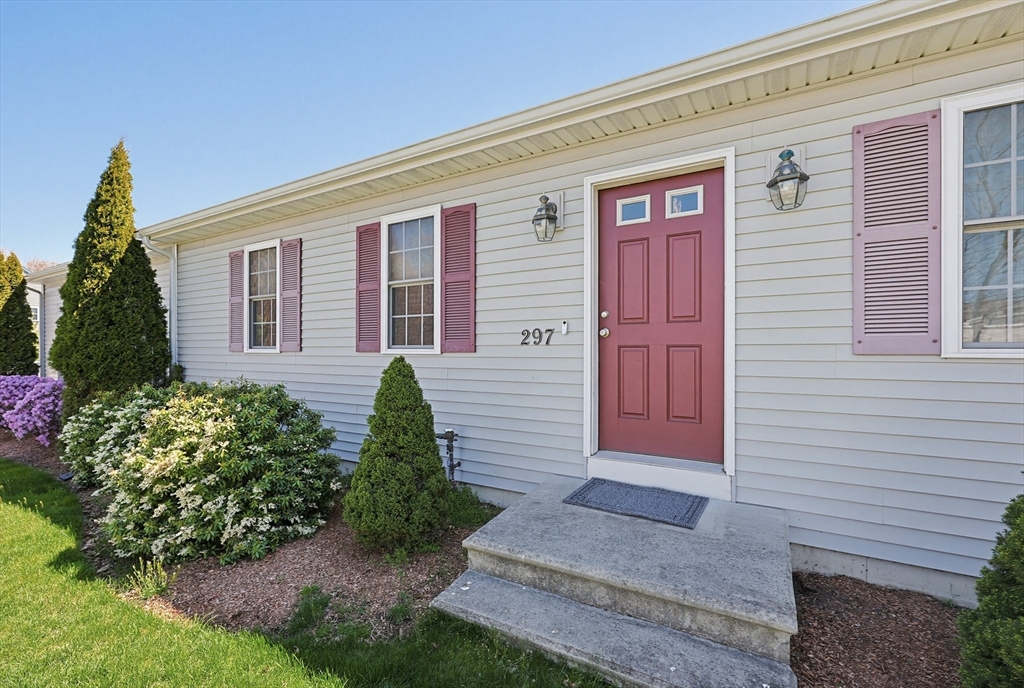 297 Elmwood St