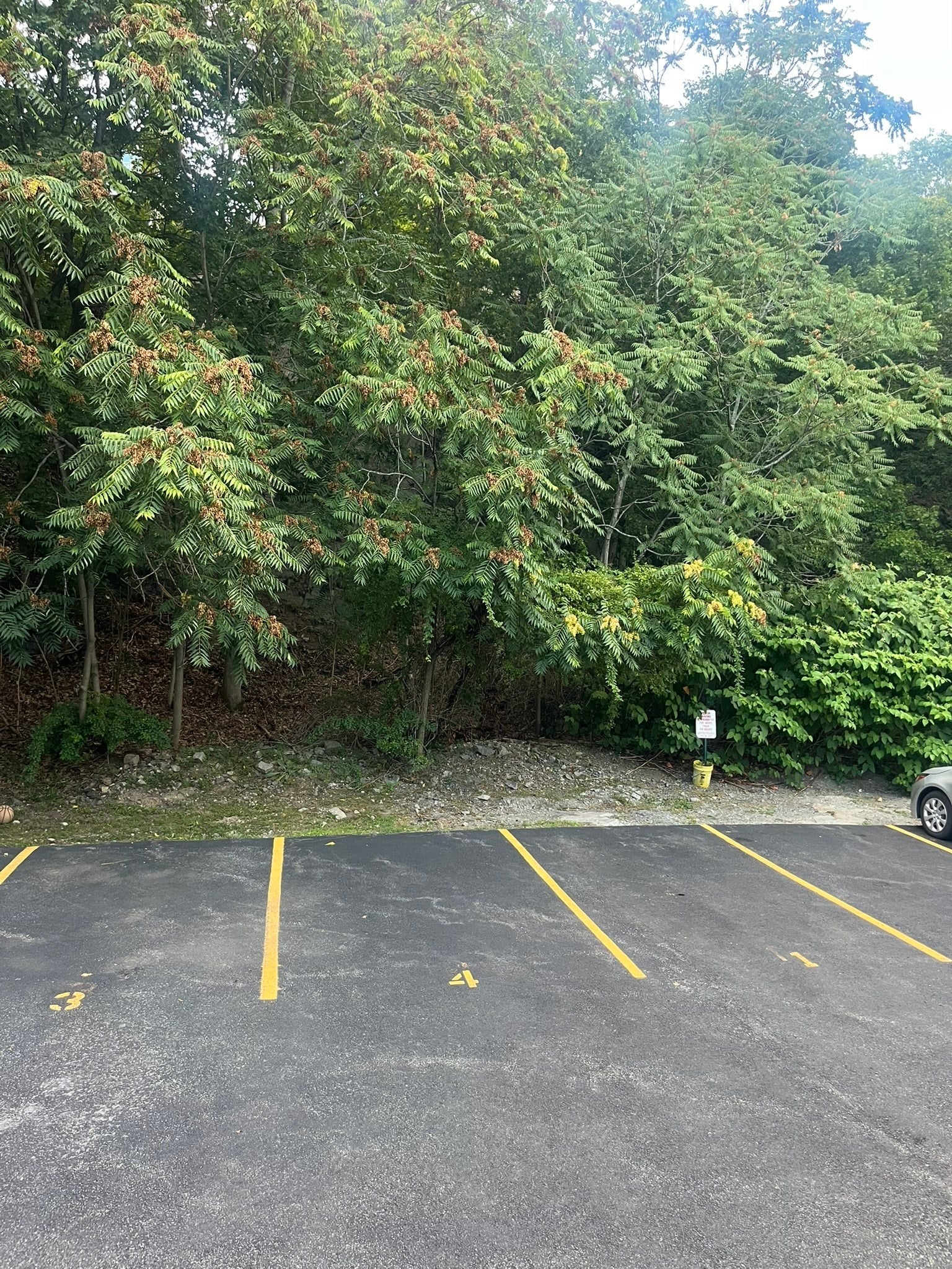 190 Sylvan St #2, Melrose, MA Photo #16