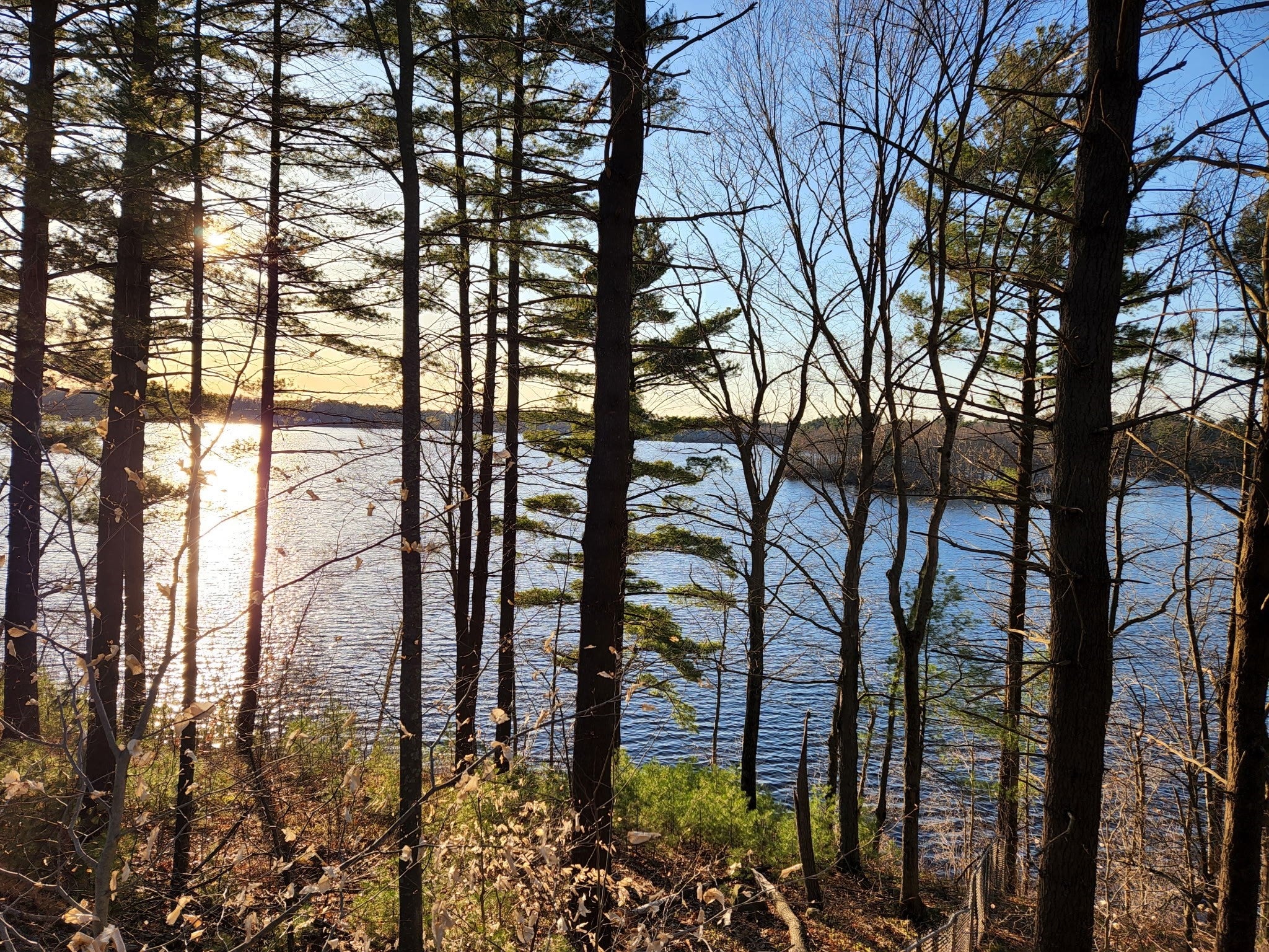 29 Sabbatia Dr, Taunton, MA Photo #11
