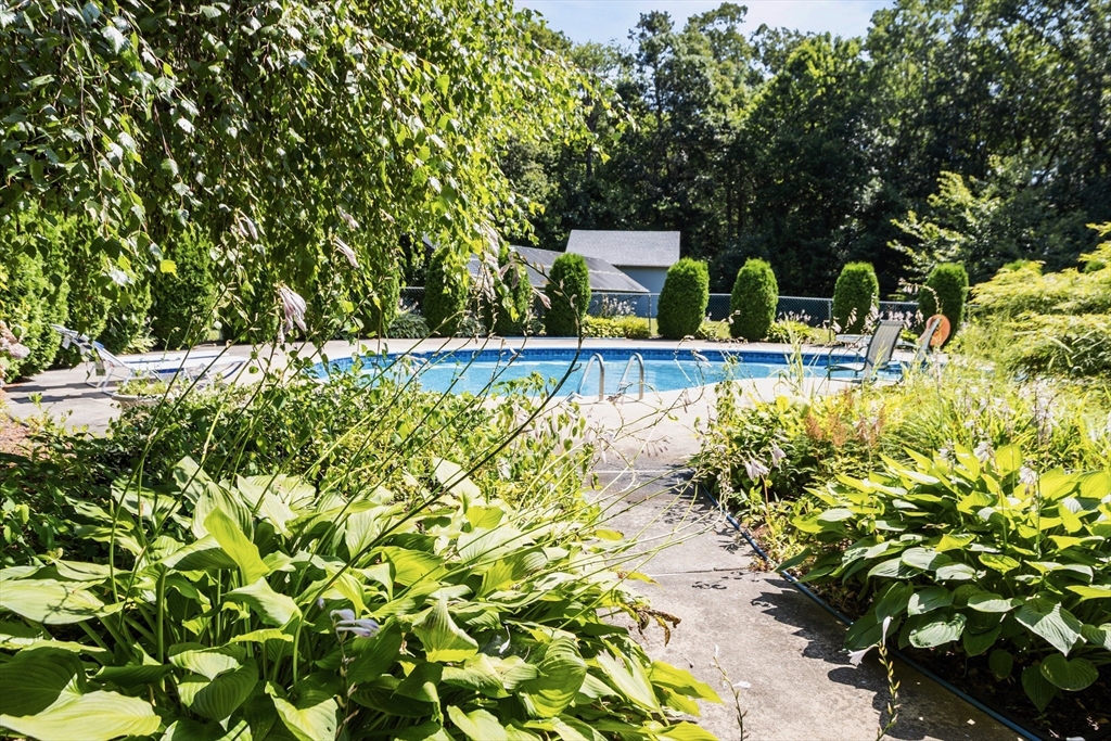 21 Forsythia Ln