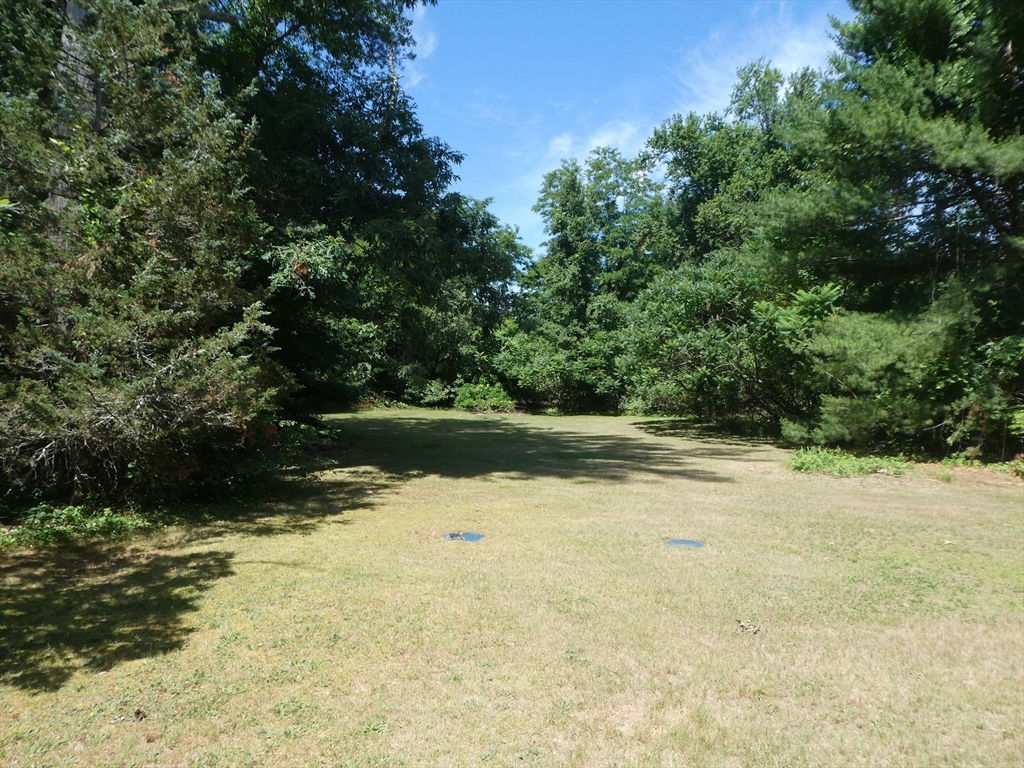 21 Beech Bluff Rd