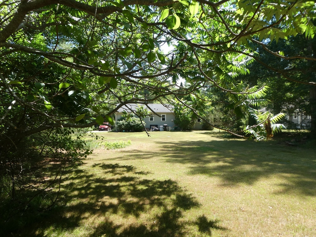 21 Beech Bluff Rd