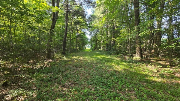 360 GROVE ST, PAXTON, MA 01612 - Image 12e8b271dd9726f7d7153ada7e8bc2de/2362319961