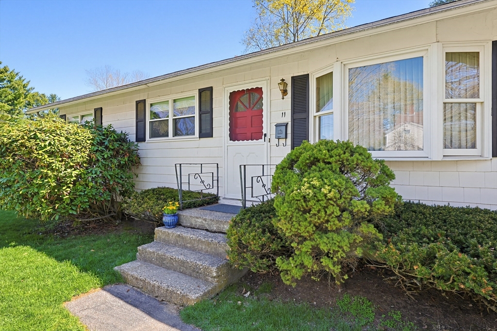 11 Regal St