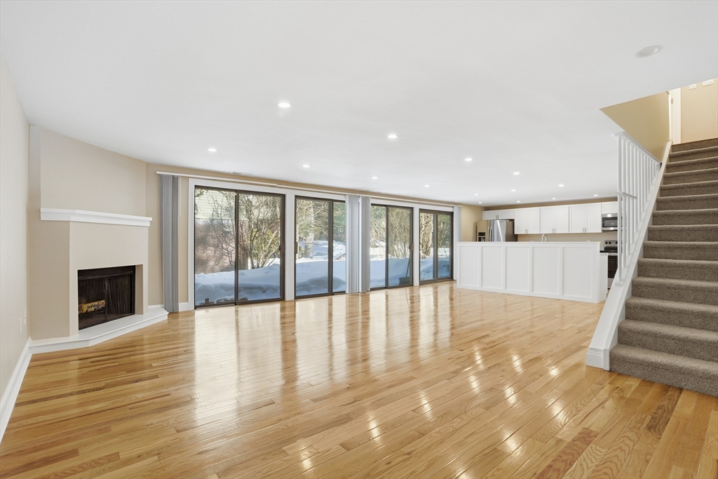 238 Brown Bear Crossing 238