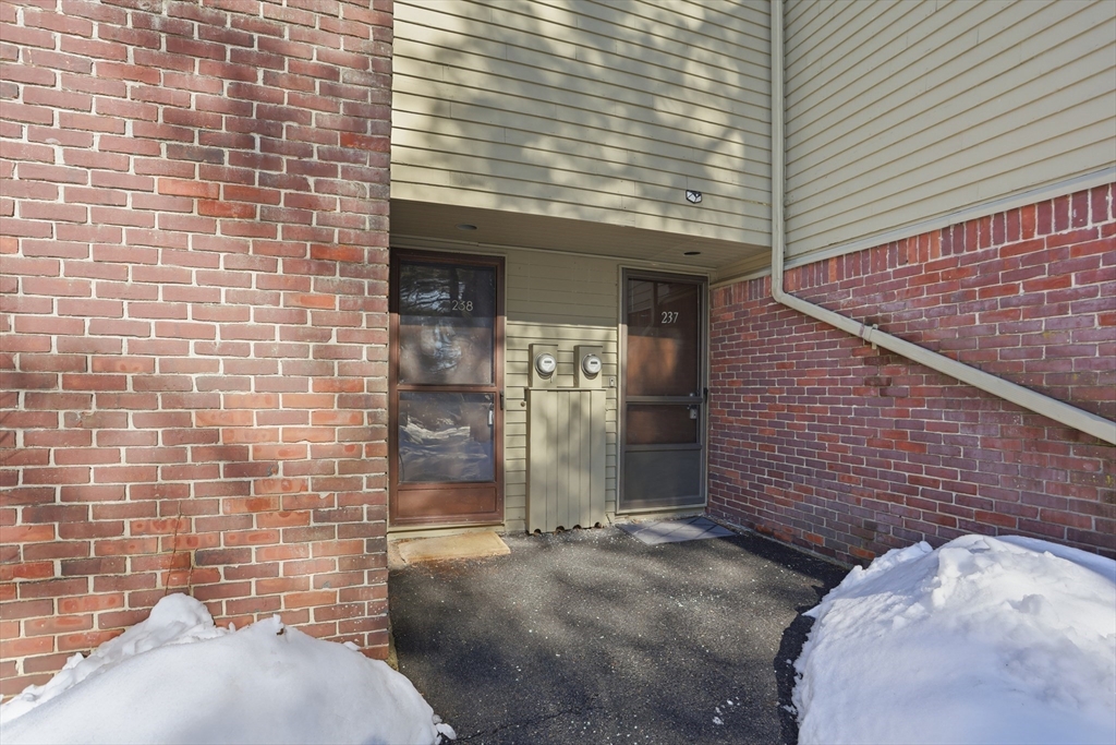 238 Brown Bear Crossing 238