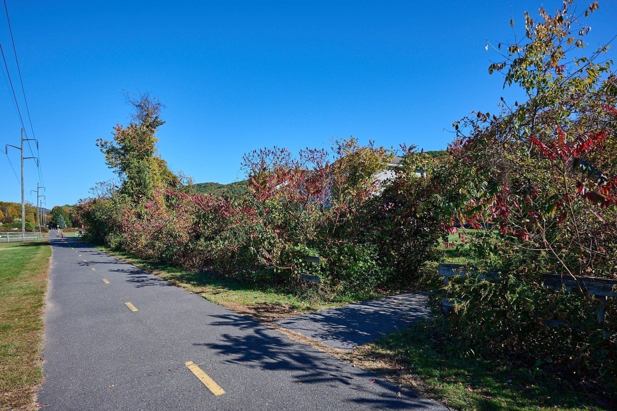 211 East St #11, Easthampton, MA Photo #29