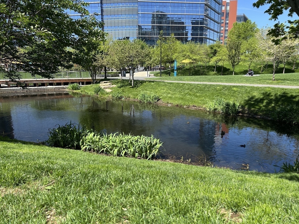 Cambridge, Massachusetts 02141, United States, 2 Bedrooms Bedrooms, ,1 BathroomBathrooms,Residential,Active,126885