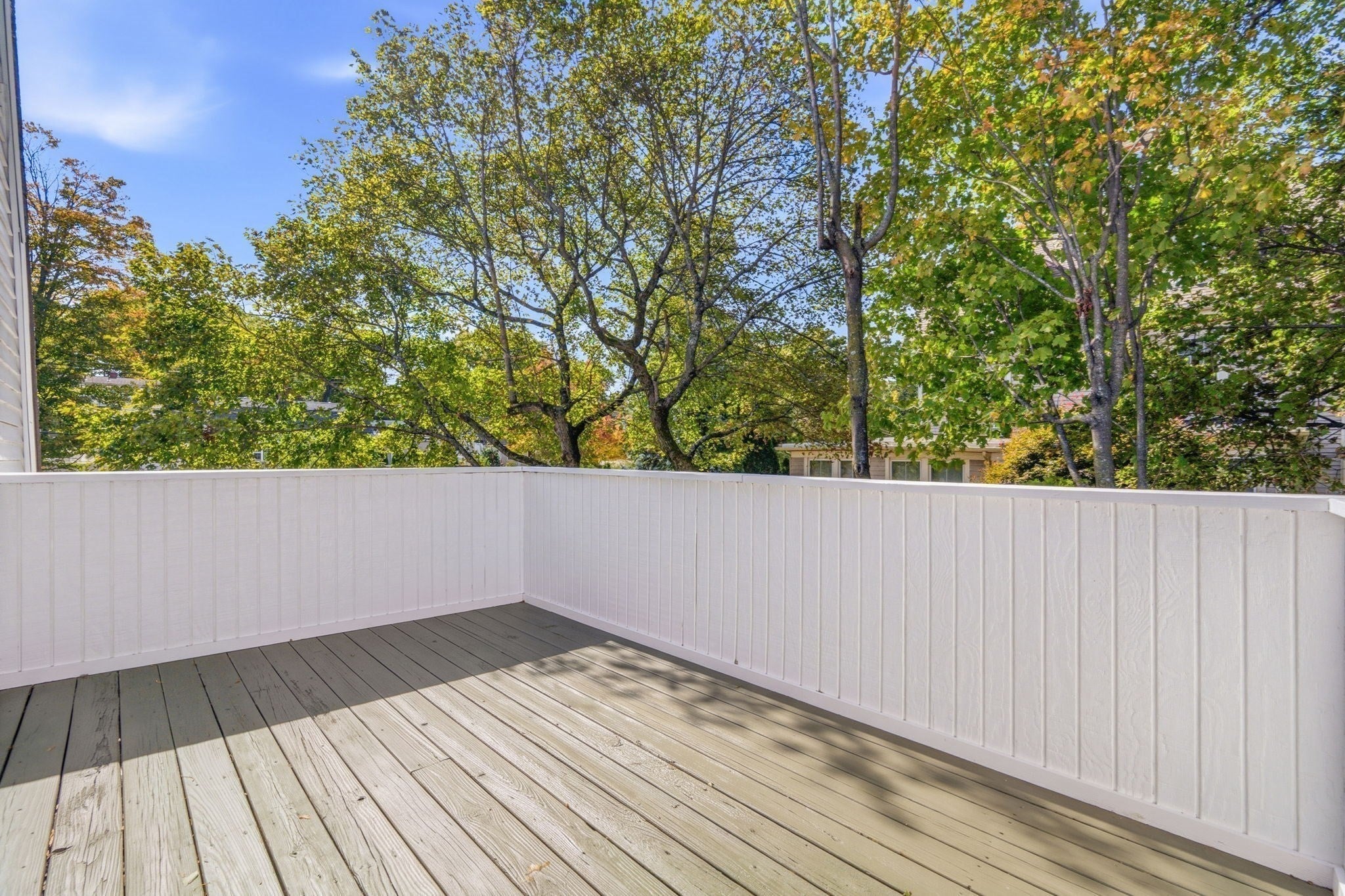 1145 Boylston St #3, Newton, MA, 1145 Boylston St #3, Newton, MA Photo #18