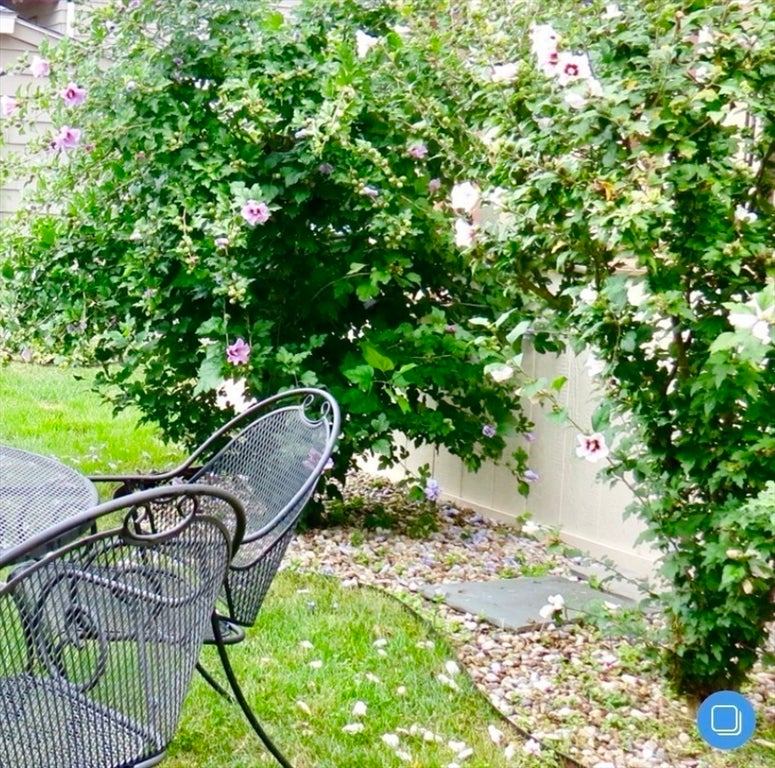 23 Burch Street #2, Arlington, MA Photo #15