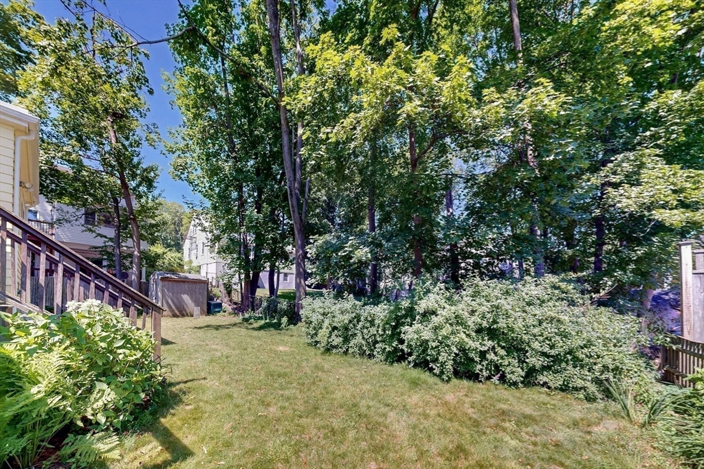 11 Pine Ct